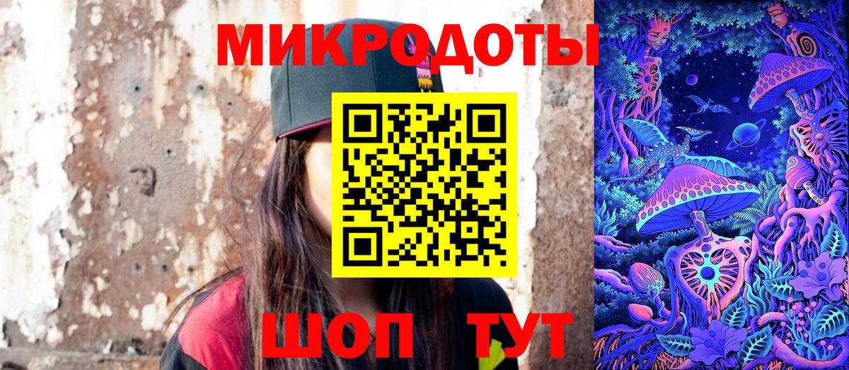 Галлюциногенные грибы Psilocybine cubensis Кизляр